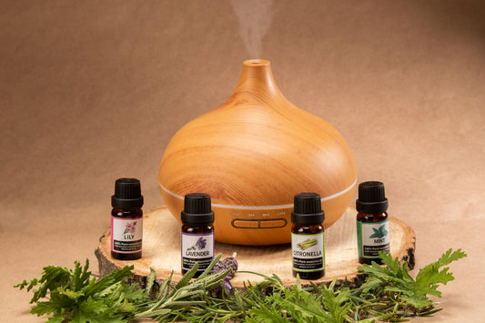 Difusores de Aroma: Los 6 Mejores para Transformar tu Hogar