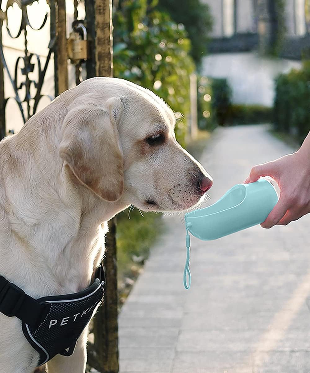 Bebedero Portátil para Perros