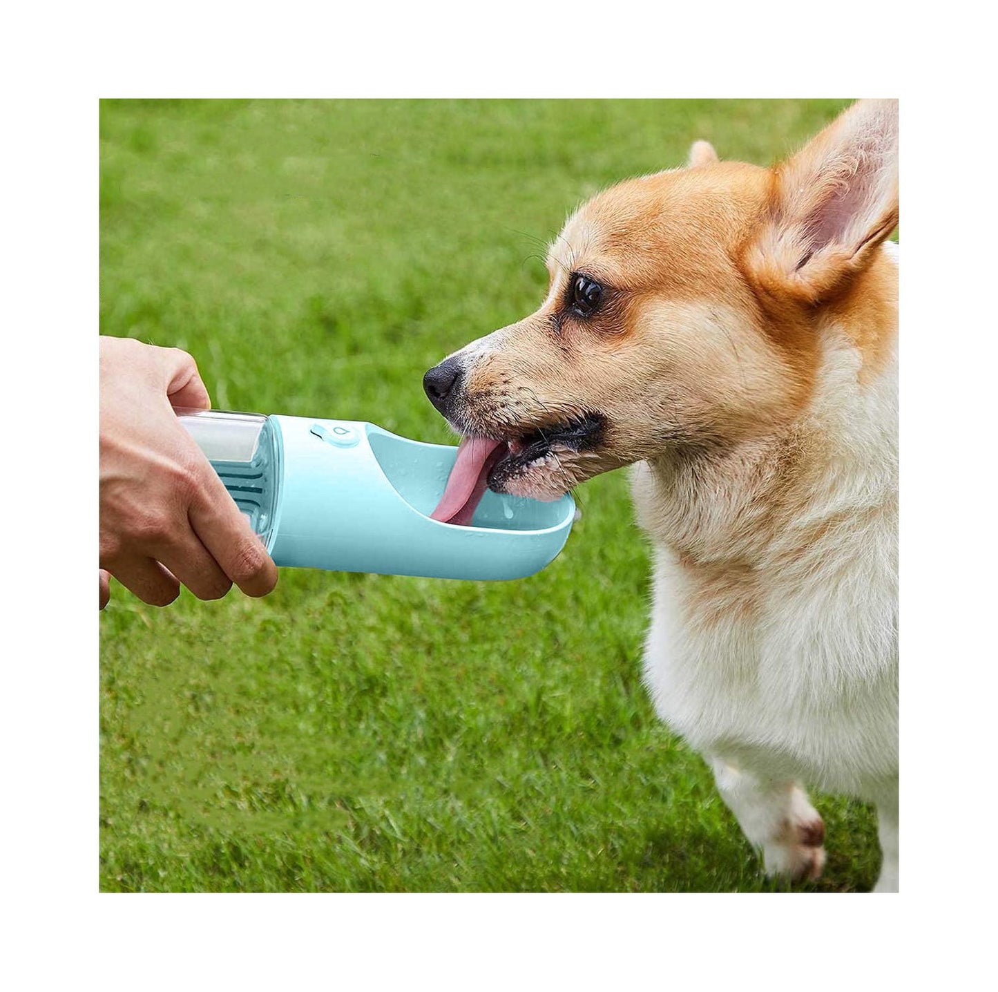 Bebedero Portátil para Perros