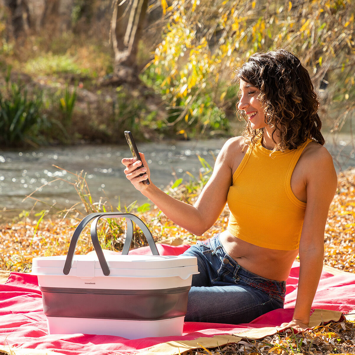 cesta de picnic plegable