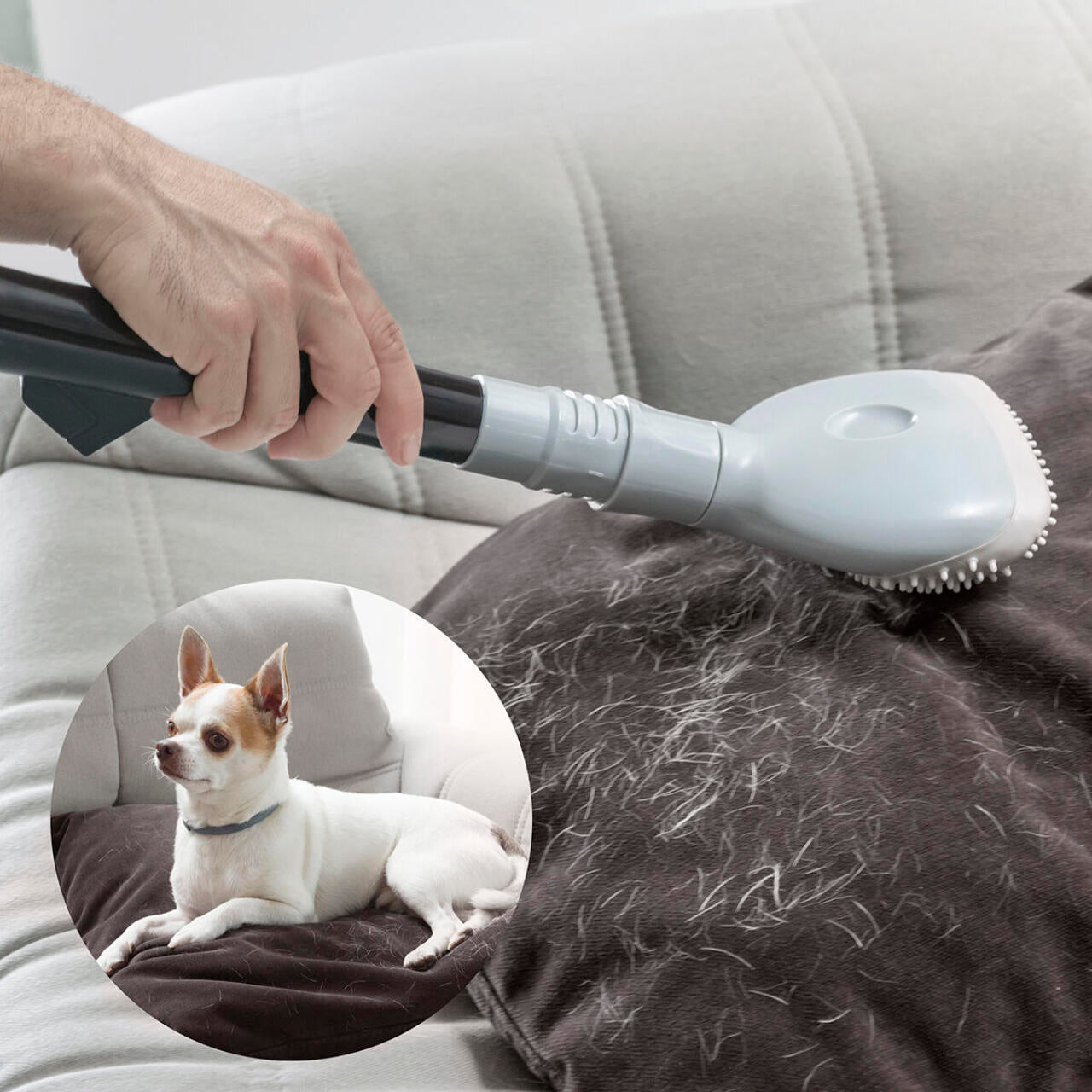 cepillo aspirador para perros