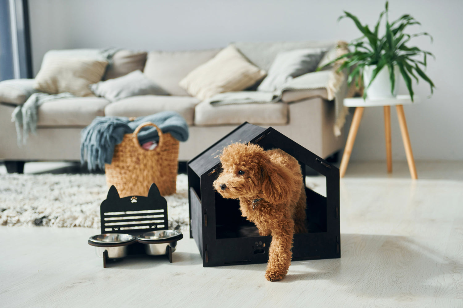 Productos para mascotas